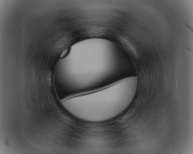 X0000093580501200710151000