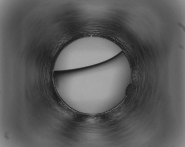 X0000093580504200710151000