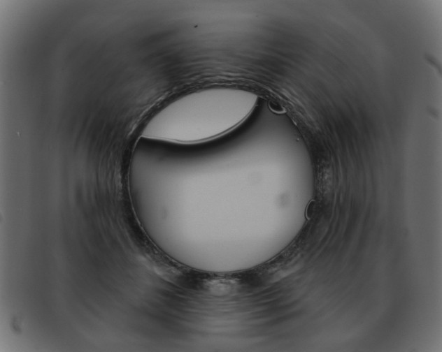 X0000093580508200710151000