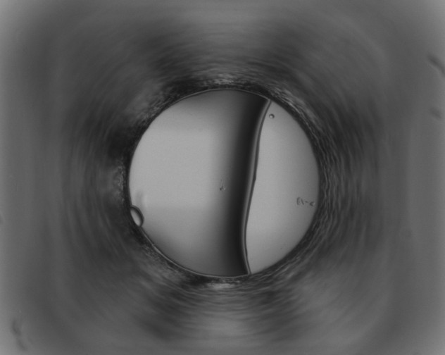 X0000093580509200710151000