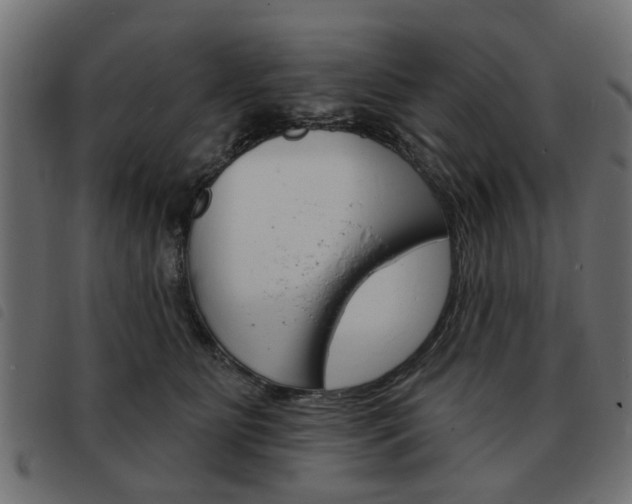 X0000093580515200710151000