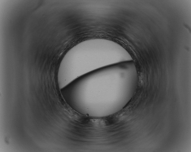 X0000093580520200710151000