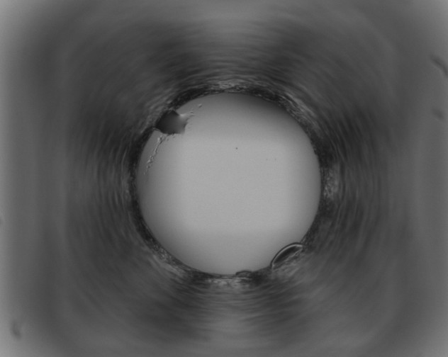 X0000093580524200710151000