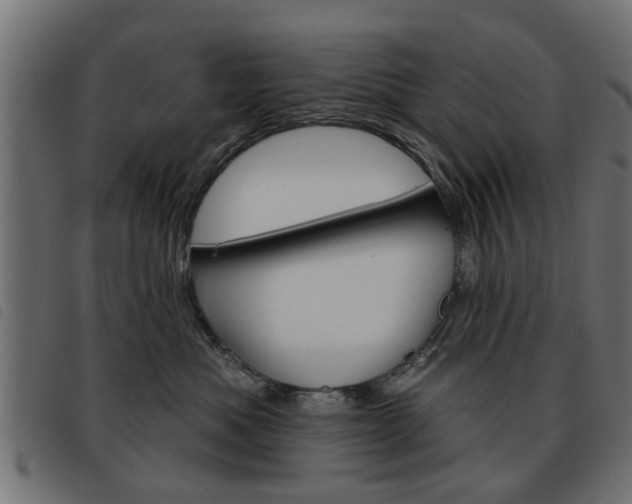 X0000093580525200710151000
