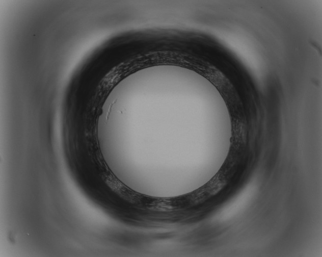 X0000093580526200710151000