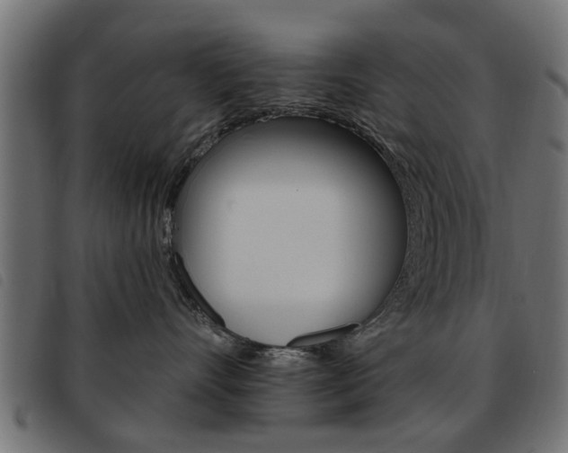 X0000093580528200710151000