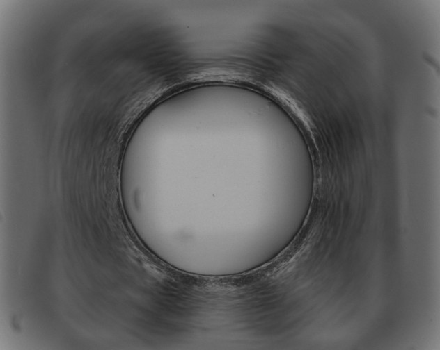 X0000093580529200710150959