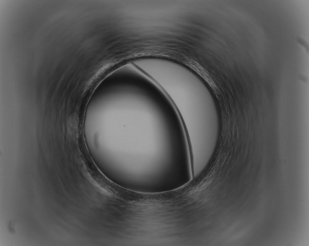 X0000093580530200710150959