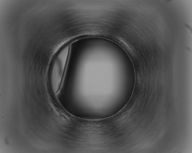 X0000093580532200710150959