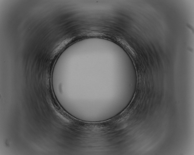 X0000093580533200710150959