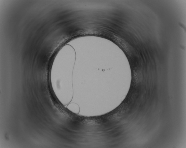 X0000093580534200710150959