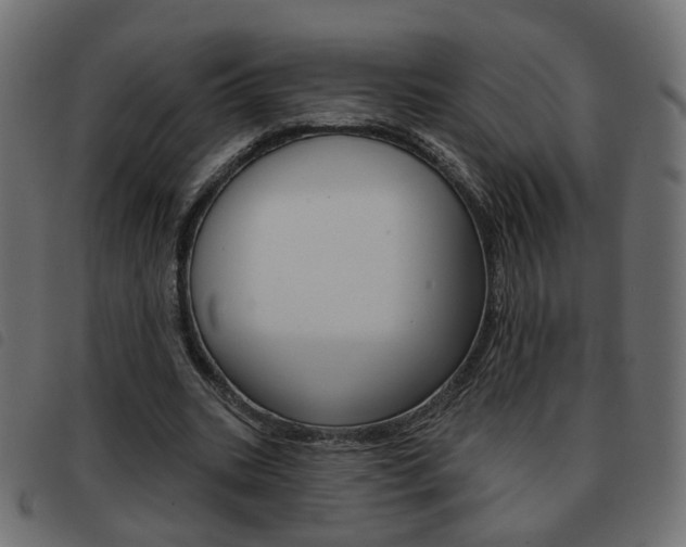 X0000093580535200710150959