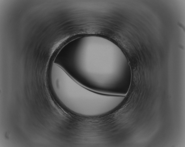 X0000093580536200710150959