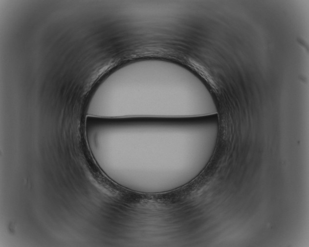 X0000093580538200710150959