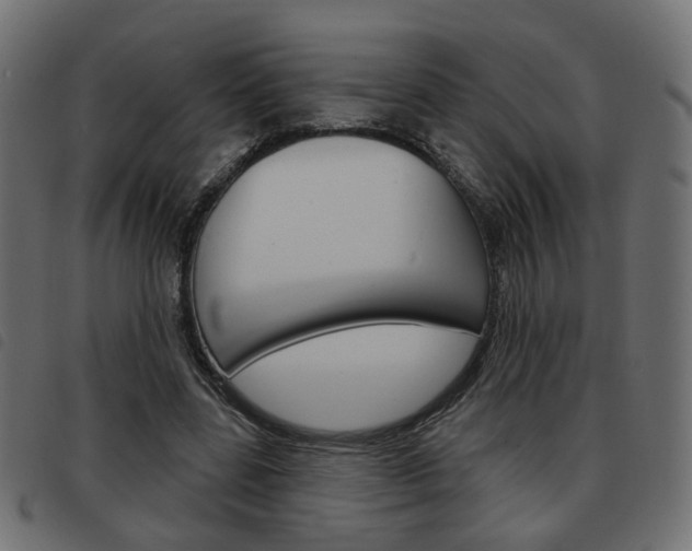 X0000093580539200710150959