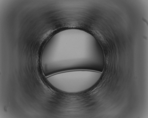 X0000093580540200710150959