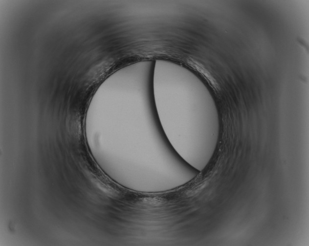 X0000093580541200710150959