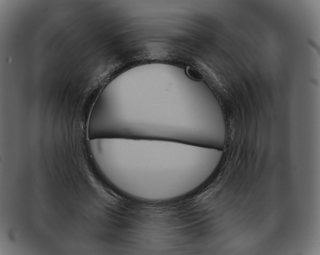 X0000093580542200710150959