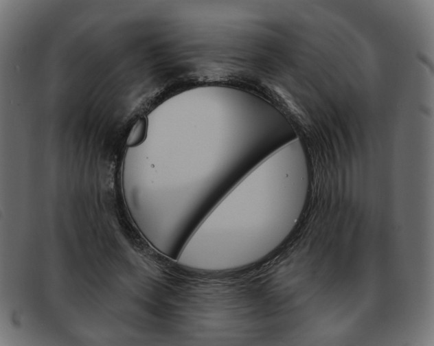 X0000093580543200710150959