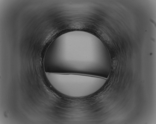 X0000093580544200710150959
