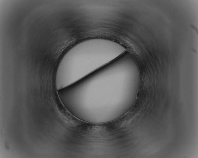 X0000093580546200710150959