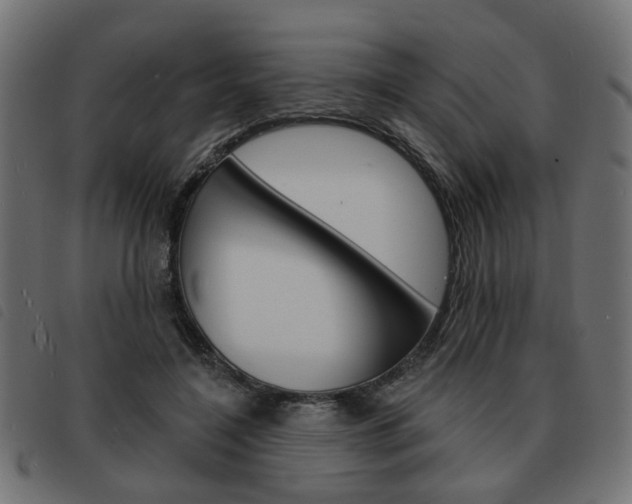 X0000093580548200710150959