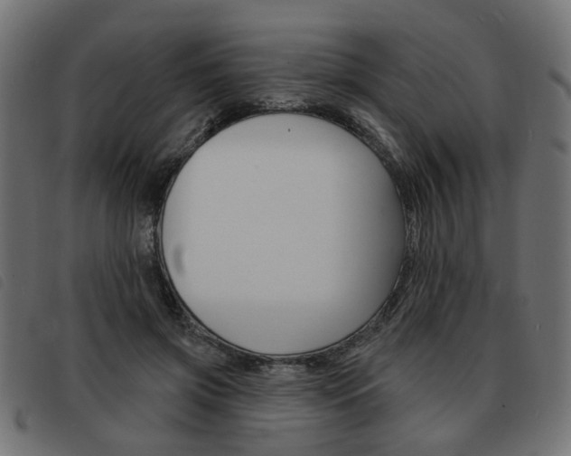 X0000093580549200710150959