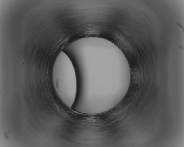 X0000093580550200710150959