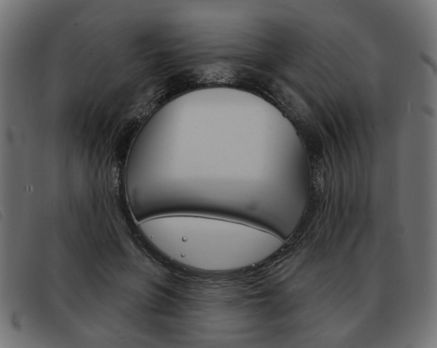 X0000093580551200710150959