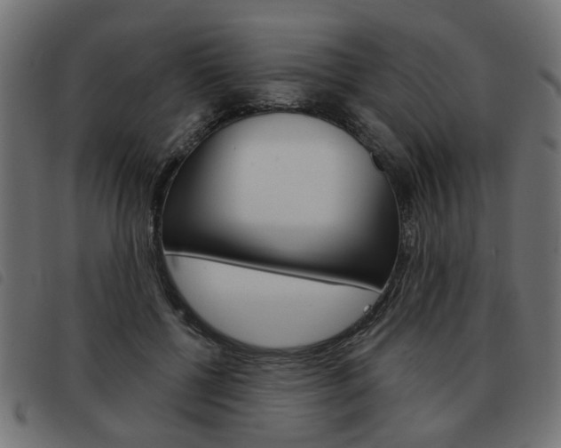 X0000093580552200710150959