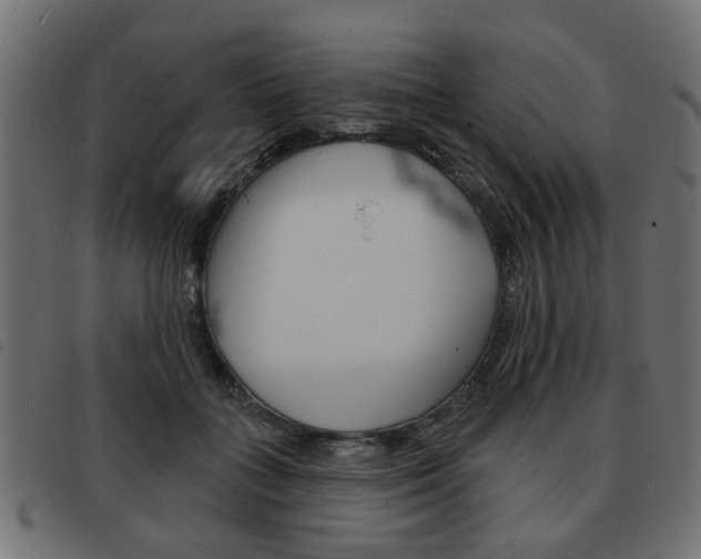 X0000093580555200710150959