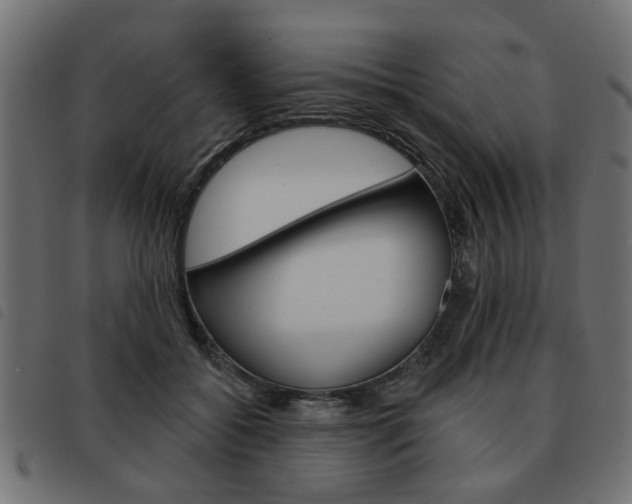 X0000093580556200710150959