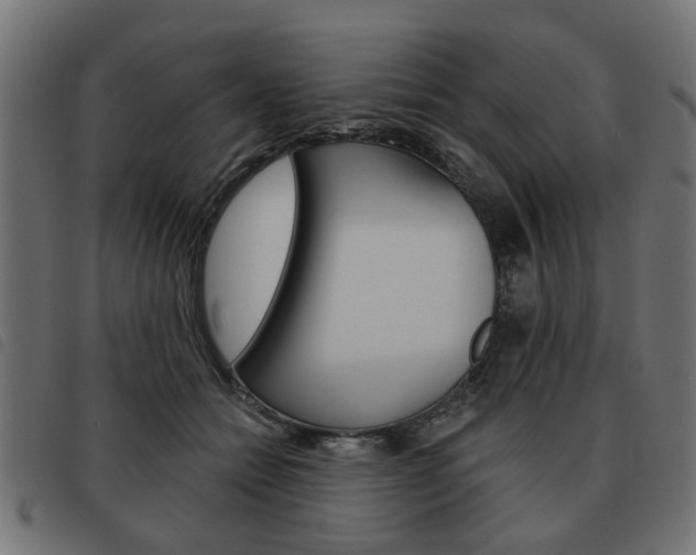 X0000093580558200710150959