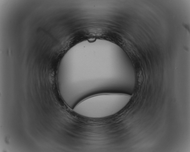 X0000093580559200710151000