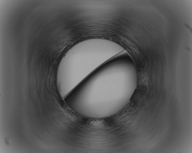 X0000093580560200710151000