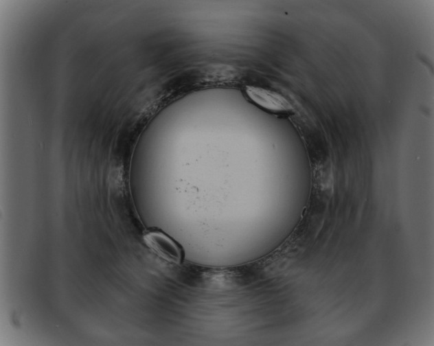 X0000093580564200710151000