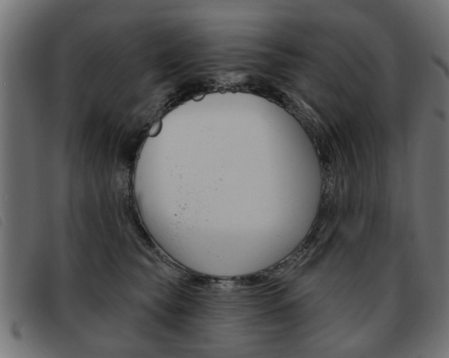 X0000093580565200710151000
