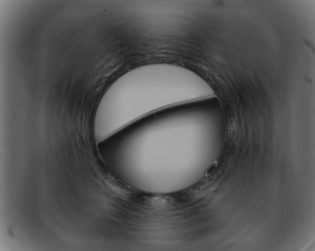 X0000093580566200710151000