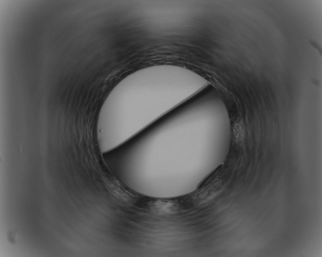 X0000093580570200710151000