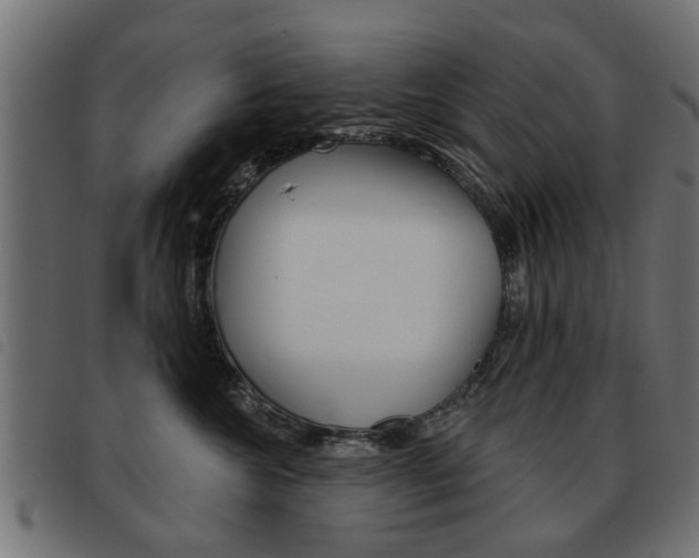 X0000093580572200710151000