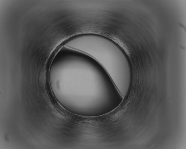 X0000093580580200710150959