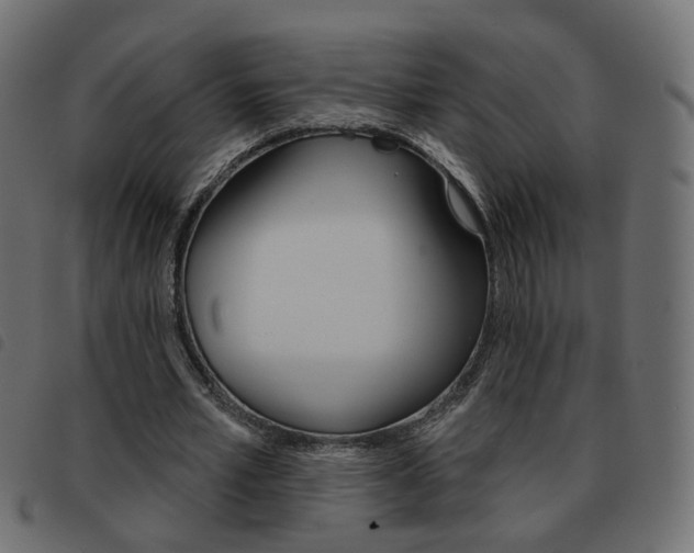 X0000093580581200710150959