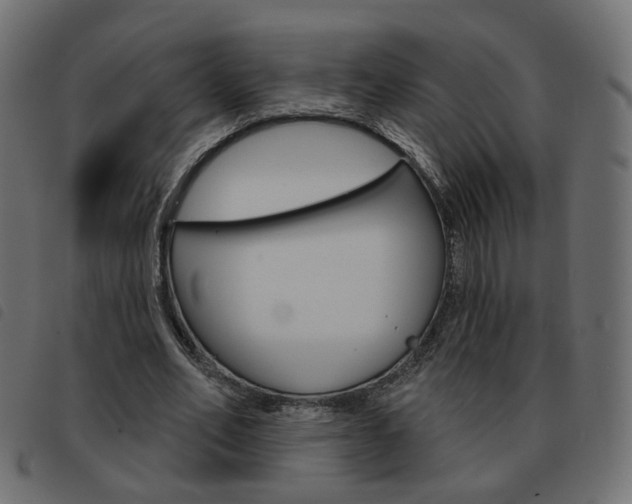 X0000093580582200710150959