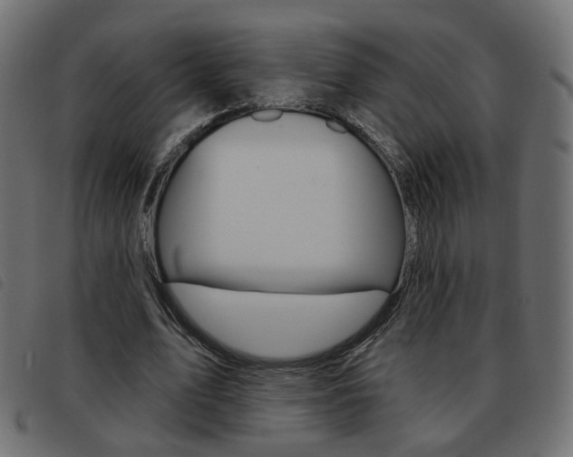 X0000093580583200710150959