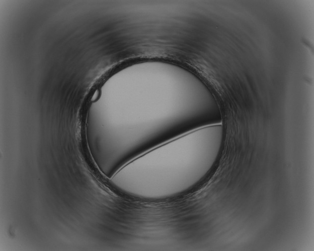 X0000093580584200710150959