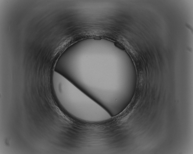 X0000093580585200710150959