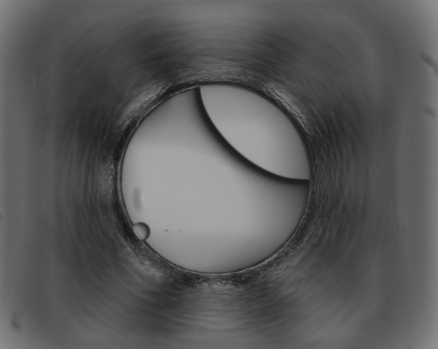 X0000093580586200710150959