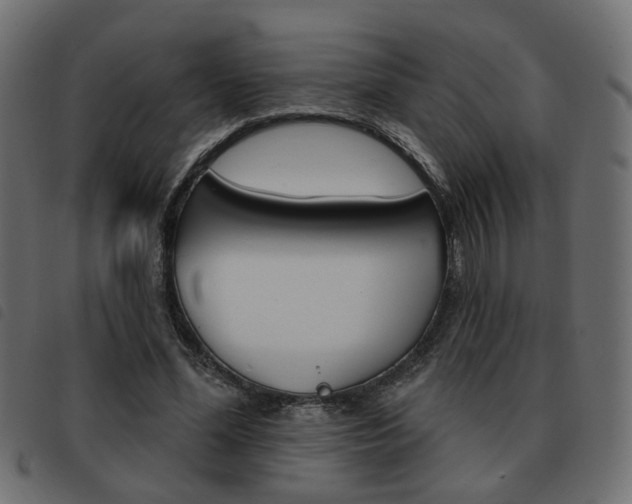 X0000093580588200710150959