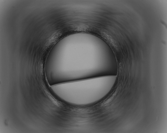 X0000093580589200710150959