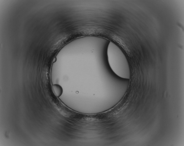 X0000093580590200710150959